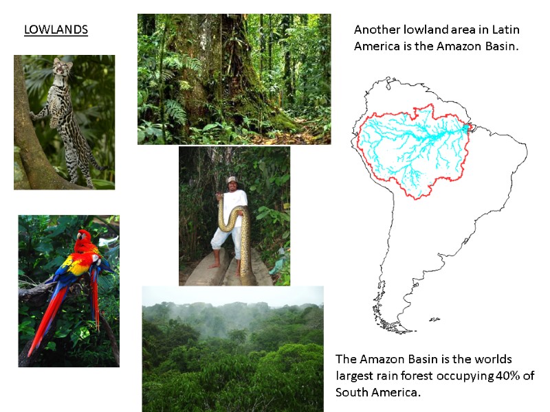 Another lowland area in Latin America is the Amazon Basin. LOWLANDS The Amazon Basin